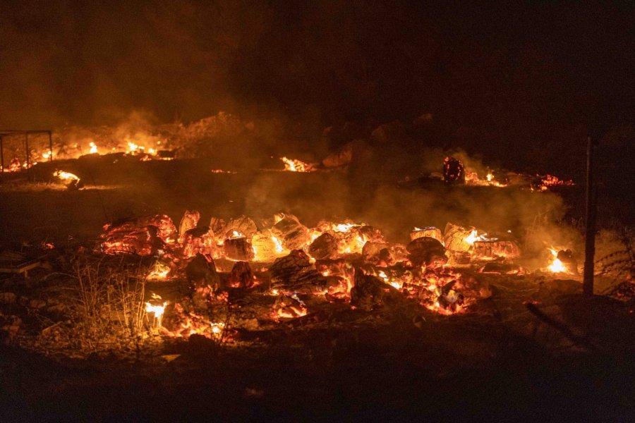 Troje maloljetnika izazvali požar iz nehaja na području Podsolarskog