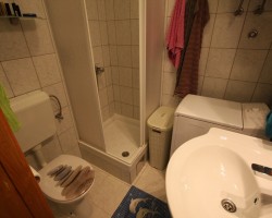 IMG_3451