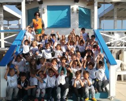img-7318944a0c086d3cbcf7177b00374208-v-custom_48902709511_o