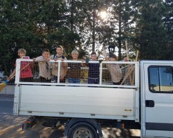 Zasadi drvo ne budi panj