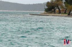 poplavaplima-1160278