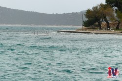 poplavaplima-1160280
