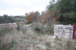 IMG_3861