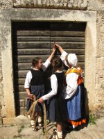 Picture 250