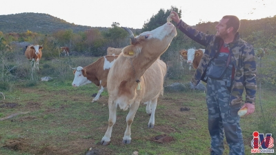 krave-6