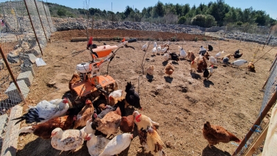 20210307_113501 (Large)