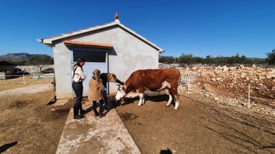 20210307_113806 (Large)