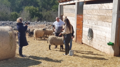 20210307_114033 (Large)