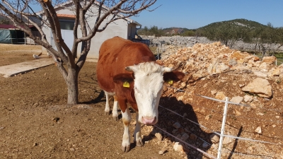 20210307_114815 (Large)