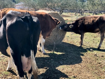 WhatsApp Image 2021-03-07 at 15.15.53 (Large)