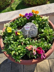 158474123_4086645901354339_1347473470655111889_n (1)