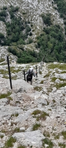 203655273_1023839278151648_5048663637110480032_n