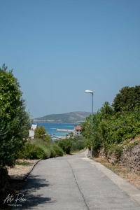 DSC_1356
