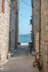 DSC_1534
