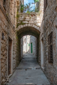 DSC_1547