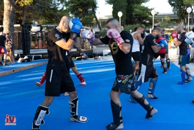 mma-12