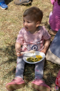 Piknik-01