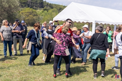 Piknik-26