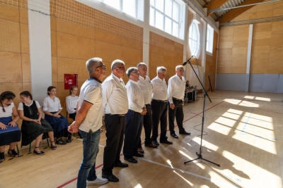 čistanw-20