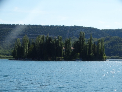 DSC06441
