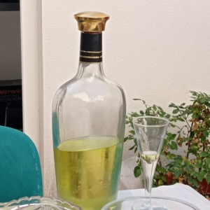 domaća otočna trava