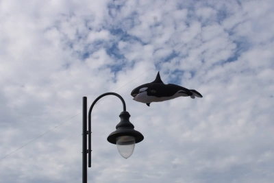 310162439_643100127345599_4240326993113650130_n