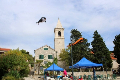 310903646_898469627801312_2391401947118574783_n