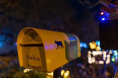dardin (8 of 38)