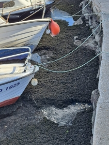 327579651_676728380818751_3855757787785946999_n