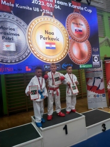 tatami kup noa perković