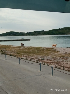 WhatsApp Slika 2023-03-20 u 12.51.26