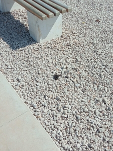 WhatsApp Slika 2j023-03-22 u 12.00.27