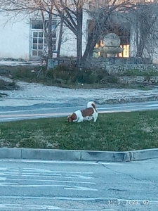 WhatsApp žSlika 2023-03-20 u 12.51.13