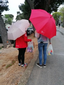 ckvd (5)