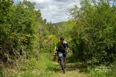 MTB 1