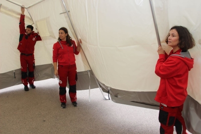 Interventni tim (81)