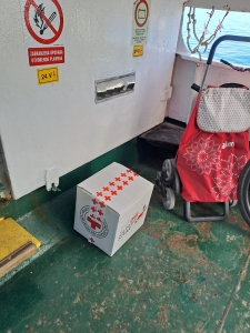 IMG-20231219-WA0000